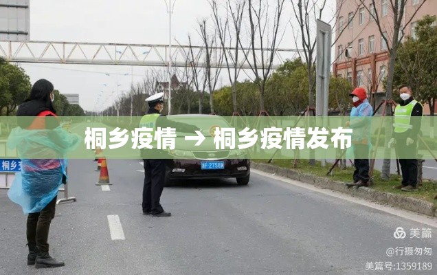桐乡疫情 → 桐乡疫情发布
