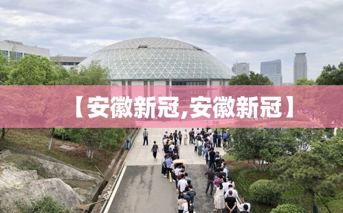 【安徽新冠,安徽新冠】