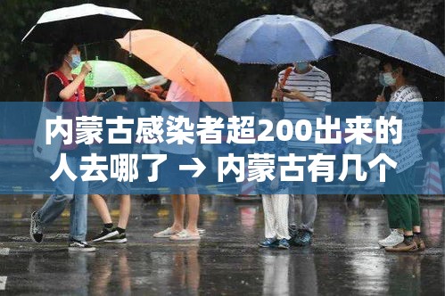 内蒙古感染者超200出来的人去哪了 → 内蒙古有几个人感染新型肺炎