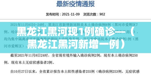 黑龙江黑河现1例确诊—（黑龙江黑河新增一例）