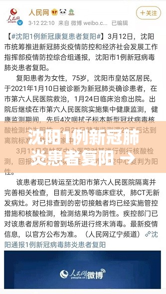 沈阳1例新冠肺炎患者复阳 → 沈阳一例新型冠状病毒复阳