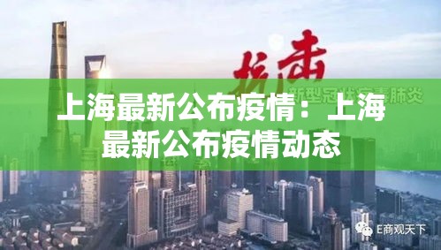 上海最新公布疫情：上海最新公布疫情动态